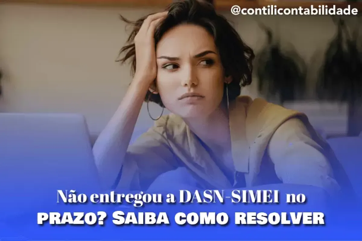 Nao entregou a DASN SIMEI no prazo Saiba como resolver afda7bf0